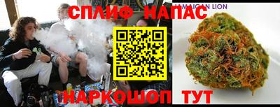 шишки Гатчина
