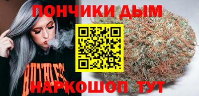 шишки Гатчина