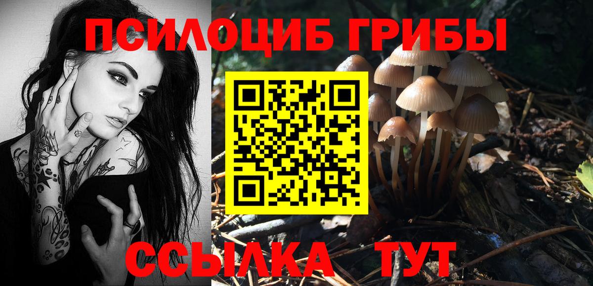 купить закладку  Вход с VPN  Псилоцибиновые грибы MAGIC MUSHROOMS  Минеральные Воды  Галлюциногенные грибы MAGIC MUSHROOMS 