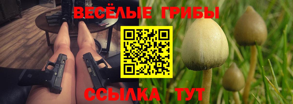 Галлюциногенные грибы ЛСД Минеральные Воды